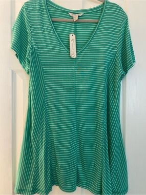 Women’s Green Striped V-Neck Tunic Top